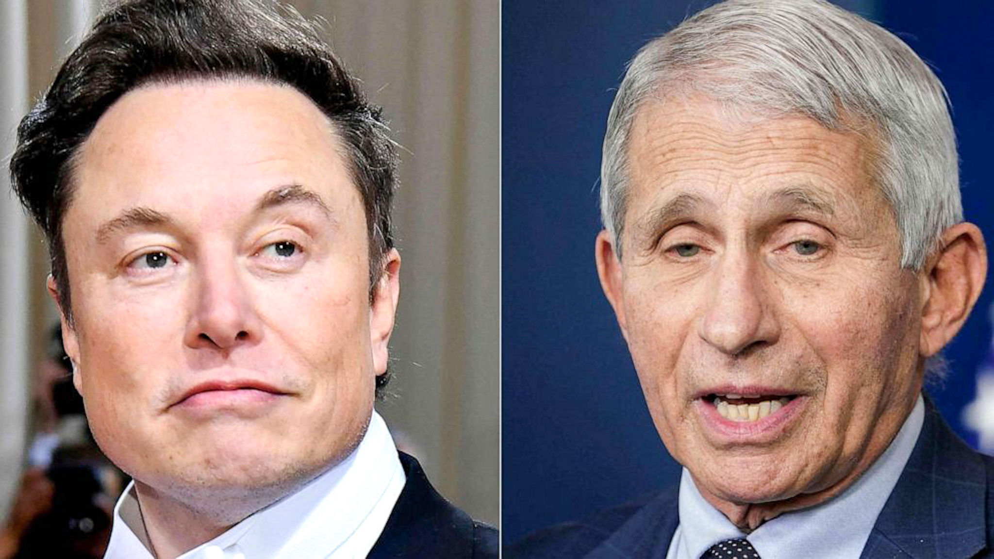 Elon Musk draws backlash applause for tweet calling for Fauci to be prosecuted