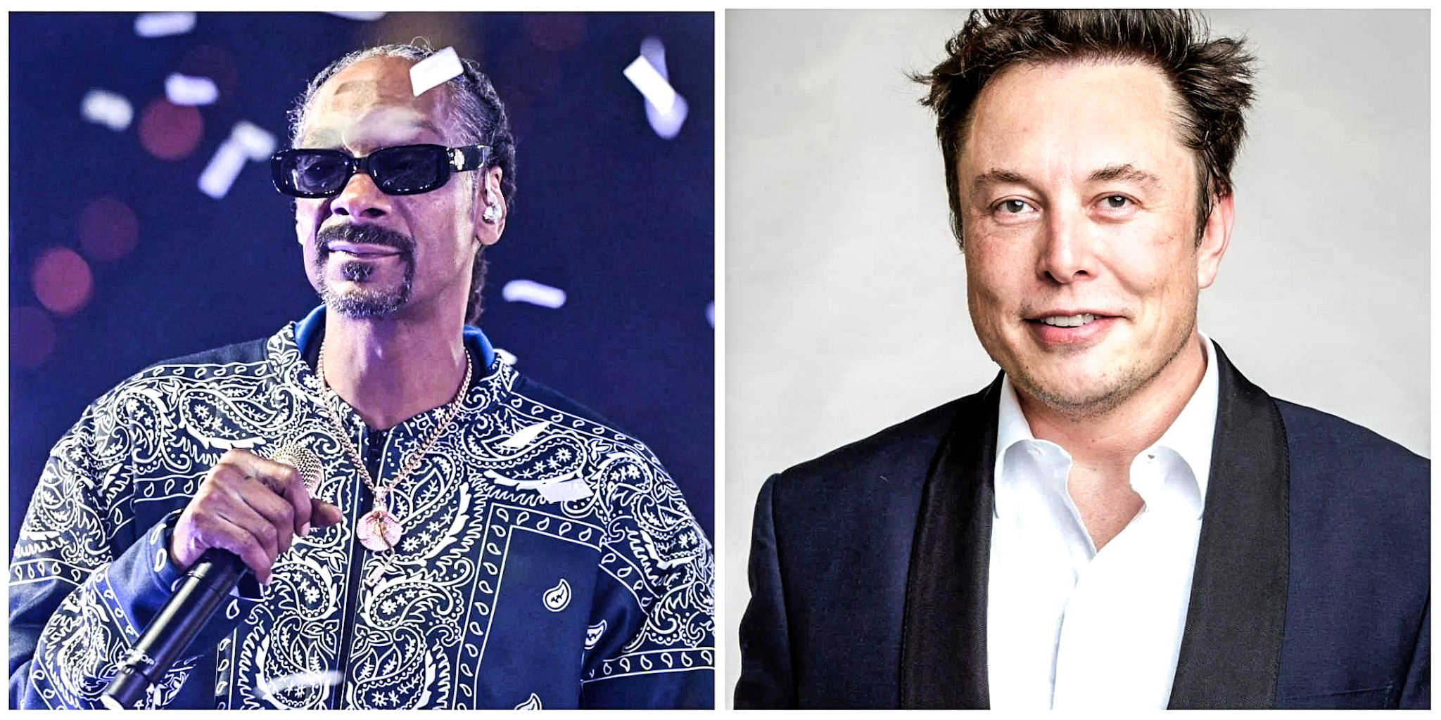 Nearly one million vote for Snoop Dogg to run Twitter after he mimics Musk poll