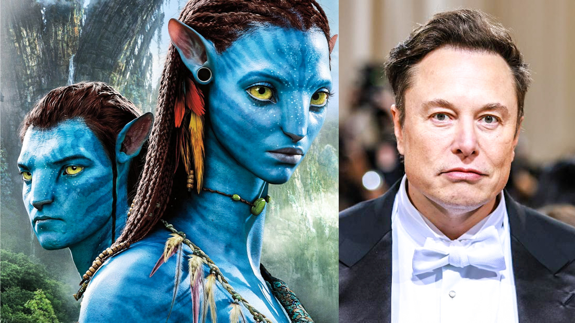 From ‘Avatar’ to Elon Musk exploration is out and culture war is in