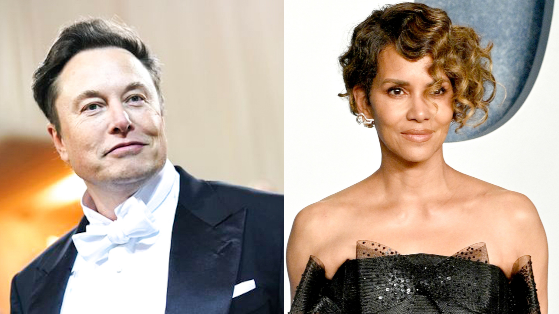 Halle Berry takes hilarious swipe at Elon Musk after Twitter removes blue tick